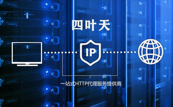 【六盘水代理IP】代理IP的主要用途和使用注意事项